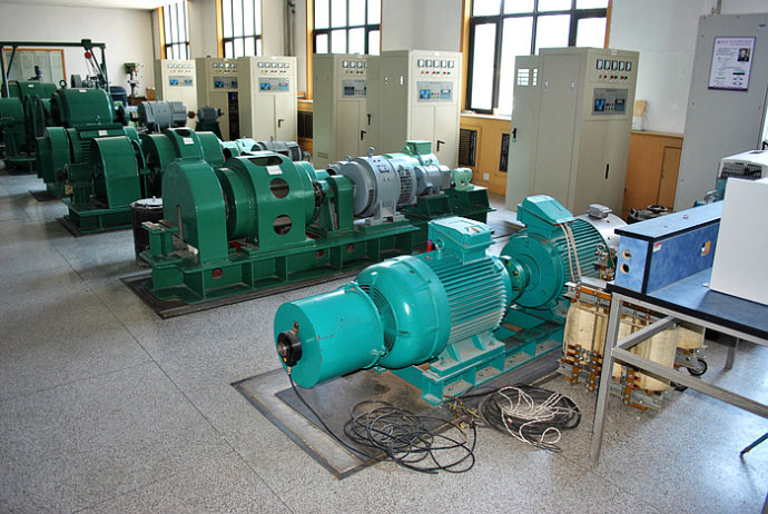 桐柏某热电厂使用我厂的YKK高压电机提供动力